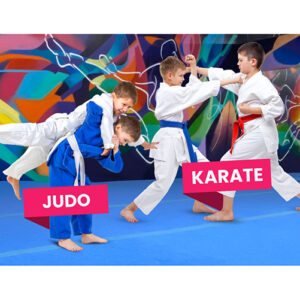 Kroužky juda a karate